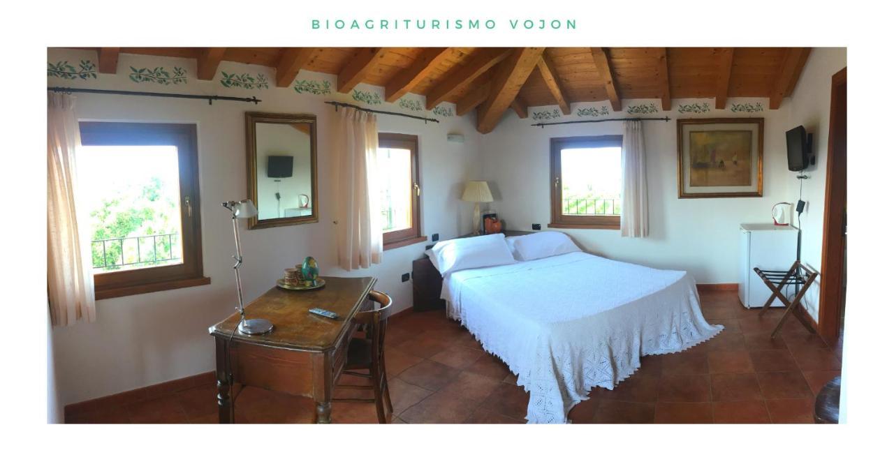 Bio Agriturismo Vojon Villa Ponti sul Mincio Kültér fotó